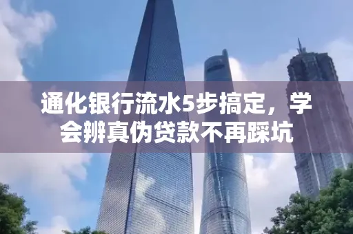 通化银行流水5步搞定，学会辨真伪贷款不再踩坑
