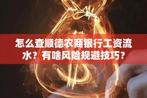 怎么查顺德农商银行工资流水？有啥风险规避技巧？