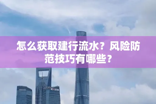怎么获取建行流水？风险防范技巧有哪些？