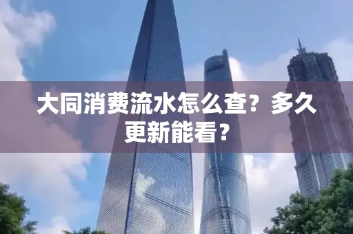 大同消费流水怎么查？多久更新能看？